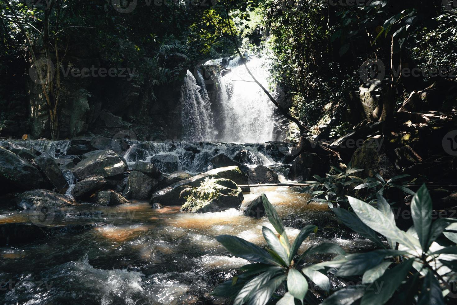 cascade dans une forêt tropicale pendant la journée photo