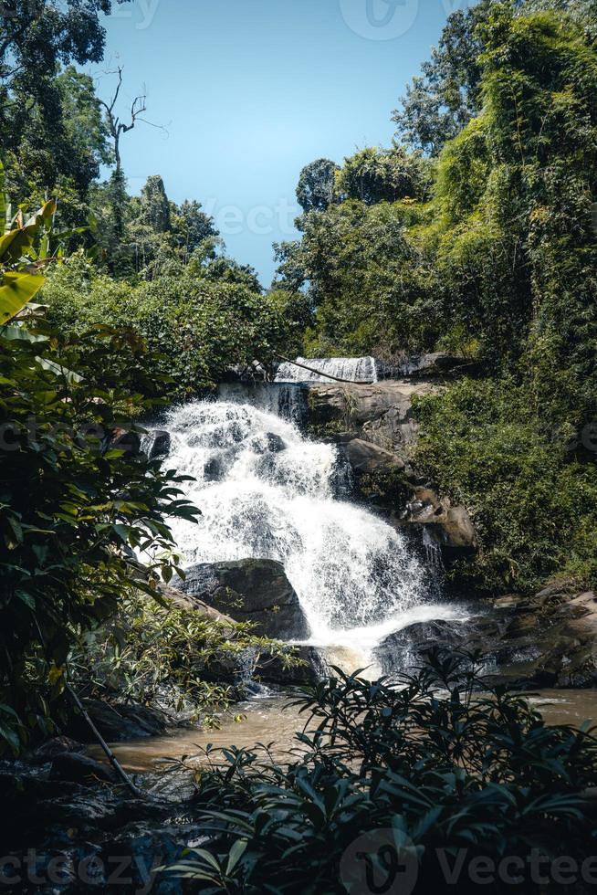 cascade dans une forêt tropicale pendant la journée photo