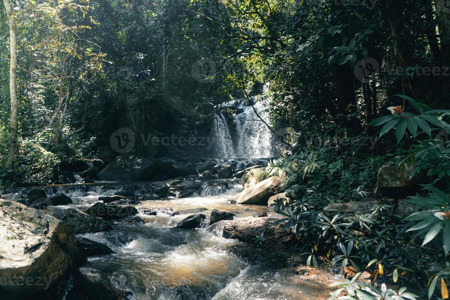 cascade dans une forêt tropicale pendant la journée photo