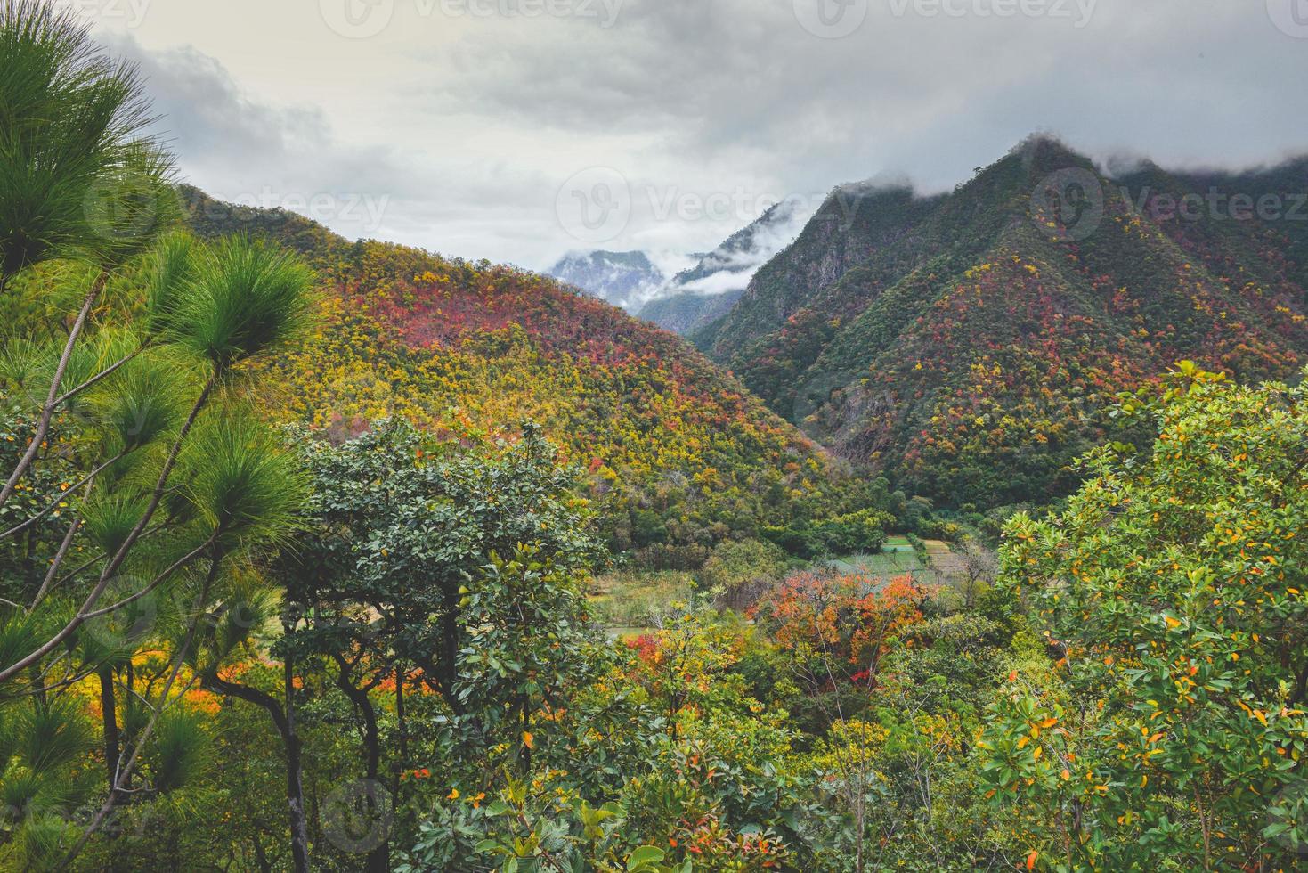 feuilles d'automne dans le paysage de vue sur la montagne. photo
