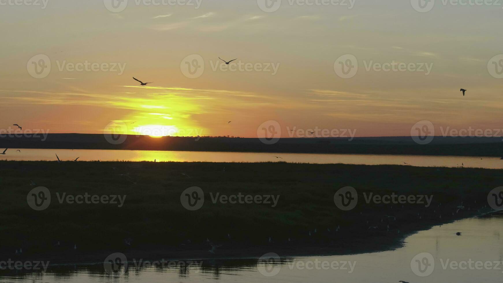 mouettes oiseau mouche au dessus le rivière à le coucher du soleil temps. des oiseaux mouche à le coucher du soleil. le coucher du soleil sur le rivière, aérien photo