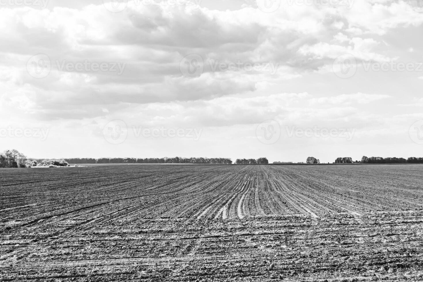 photographie sur le thème grand champ de ferme vide pour la récolte biologique photo