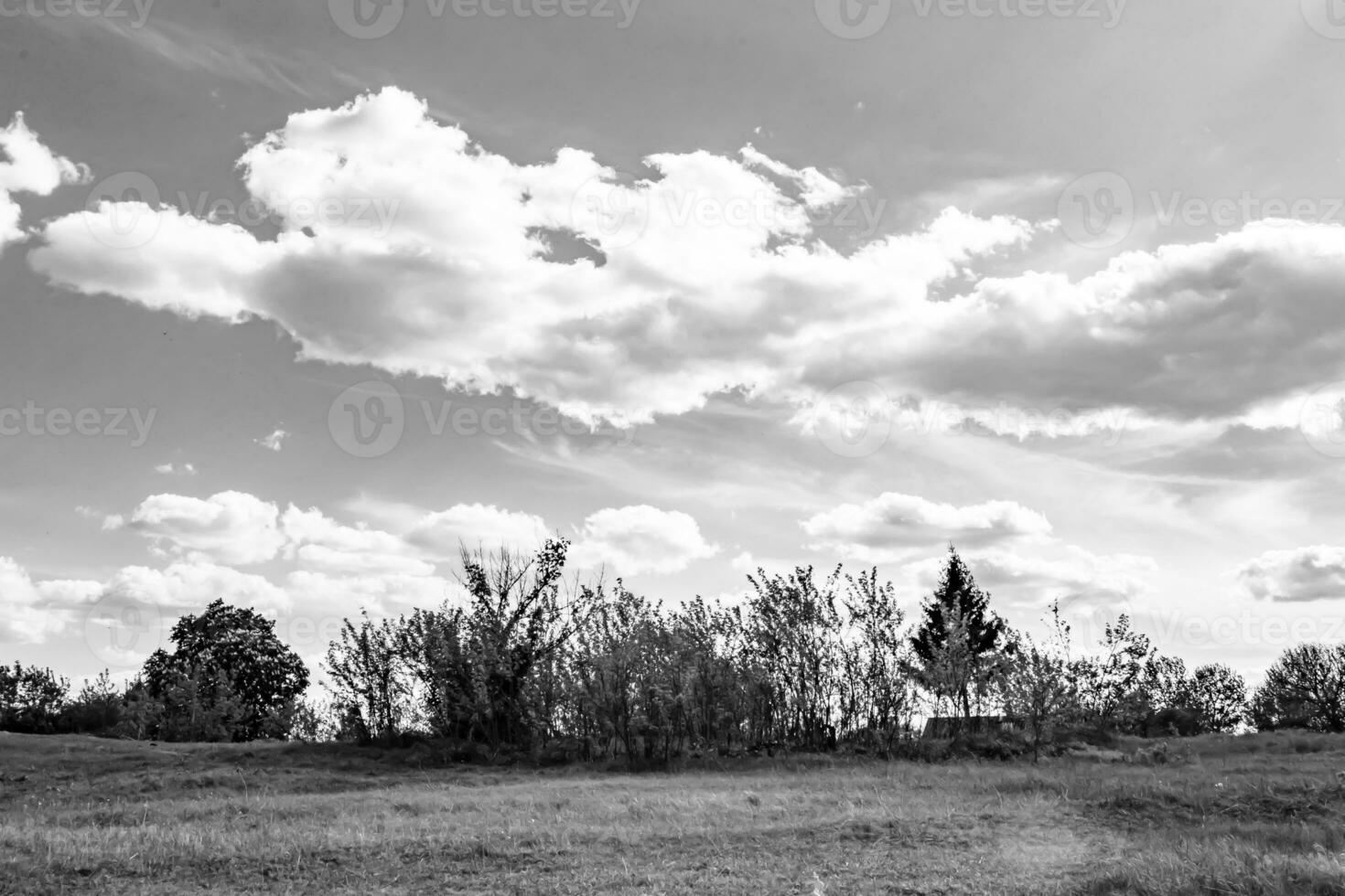 beau paysage d'horizon dans la prairie du village sur fond naturel de couleur photo