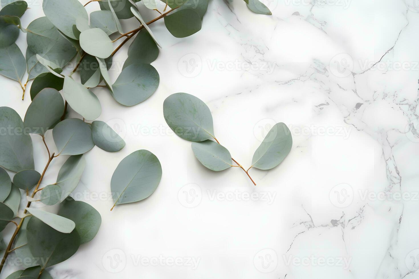 ai généré branches de eucalyptus feuilles sur une marbre Contexte photo