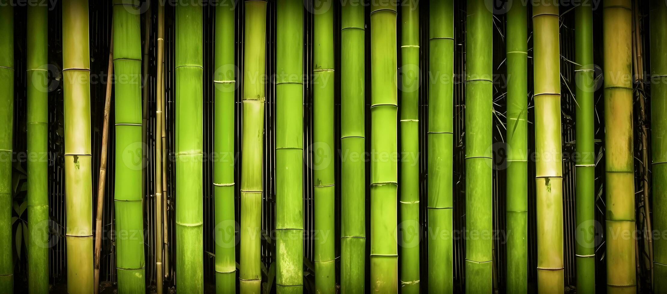 ai généré Naturel vert bambou Contexte. photo