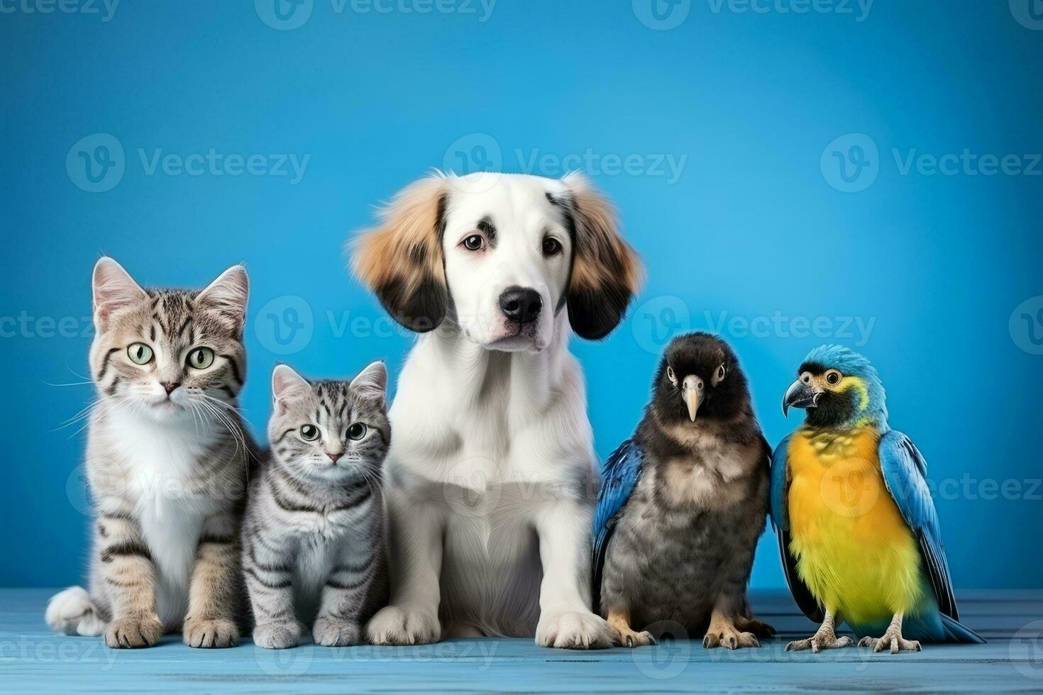 ai généré chats, chien et des oiseaux ensemble sur bleu Contexte photo