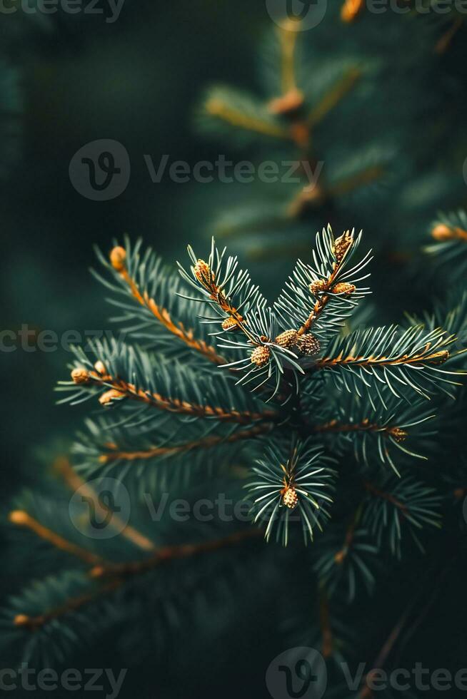 ai généré une proche en haut image de une pin arbre branche photo