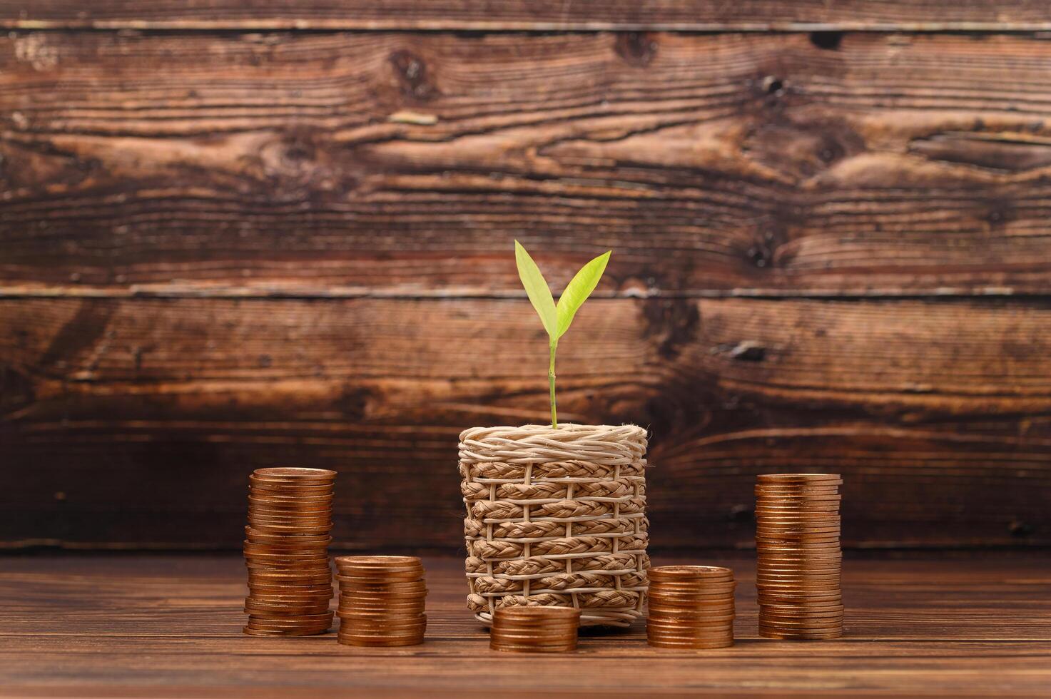 gagner de l'argent économiser de l'argent investir des actions impôts photo