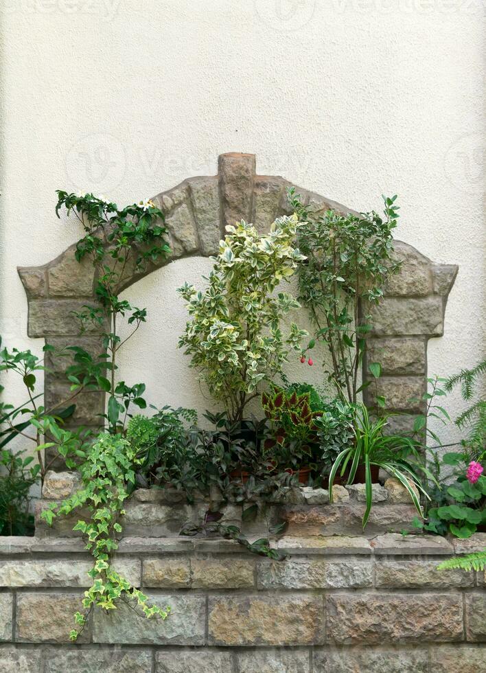 section de le mur avec décoratif éléments est décoré avec plantes d'intérieur photo