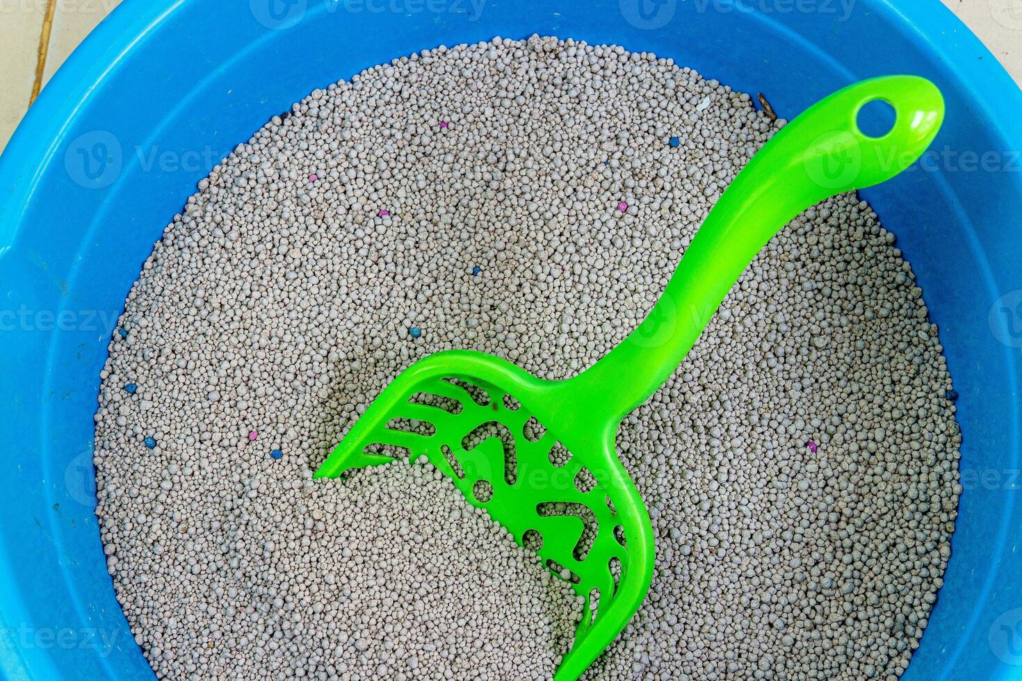 Haut vue de le le sable chat dans bleu Plastique litière boîte et nettoyer le sable toilette de chat avec scoop photo