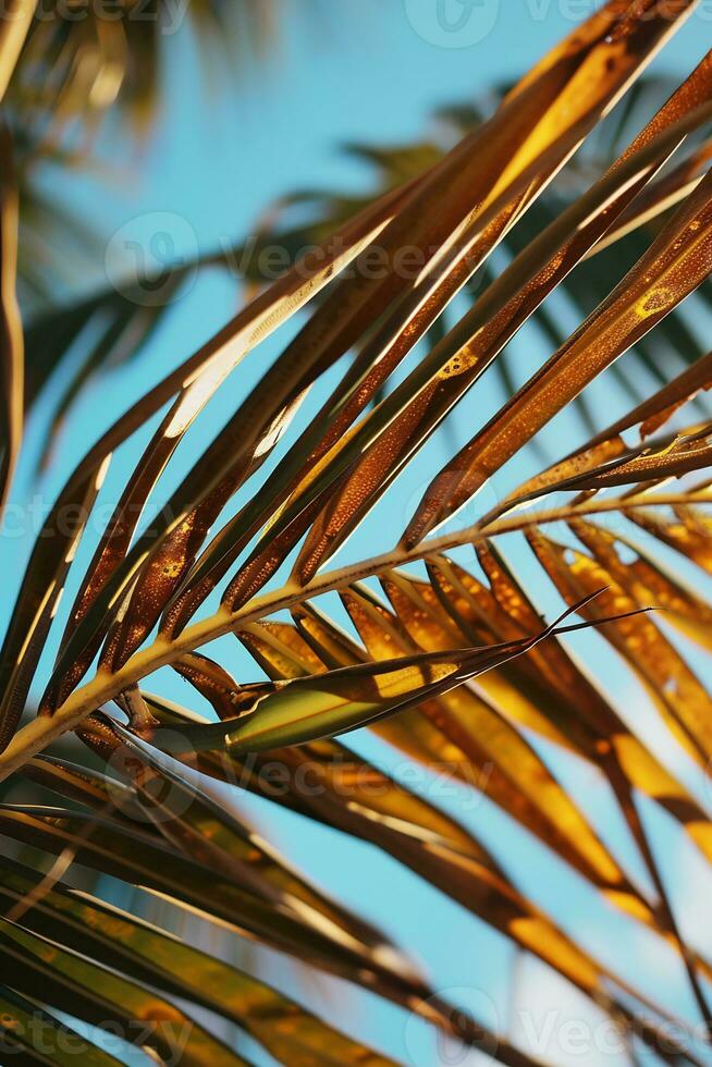 ai généré proche en haut de une paume arbre feuille avec une bleu ciel dans le Contexte photo