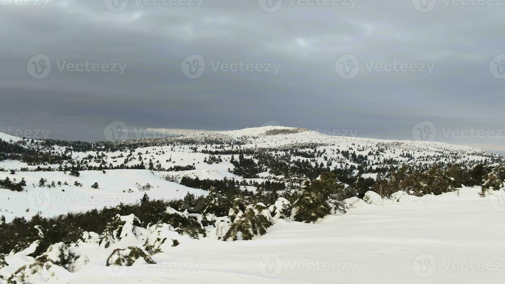 aérien de le Haut de neigeux Montagne pins dans le milieu de le l'hiver. tir. riches hiver esprit photo