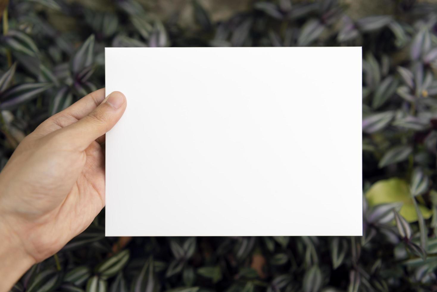 main tenant une carte de papier de voeux vierge sur une feuille verte pour une carte de mariage de conception de modèle de maquette. photo