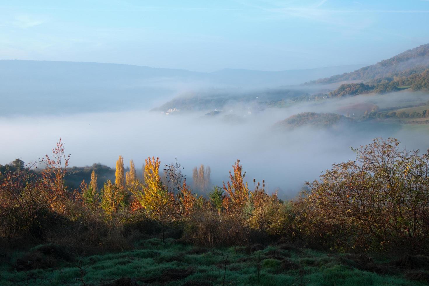 beau paysage avec une forêt colorée en automne. brouillard et montagnes en arrière-plan. Navarre, Espagne photo