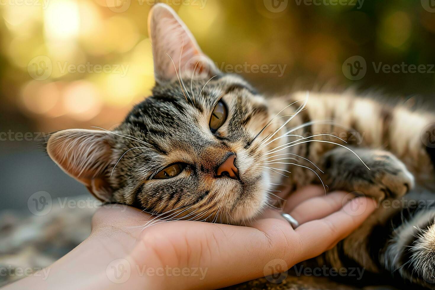 ai généré mignonne chat pose sur le main photo