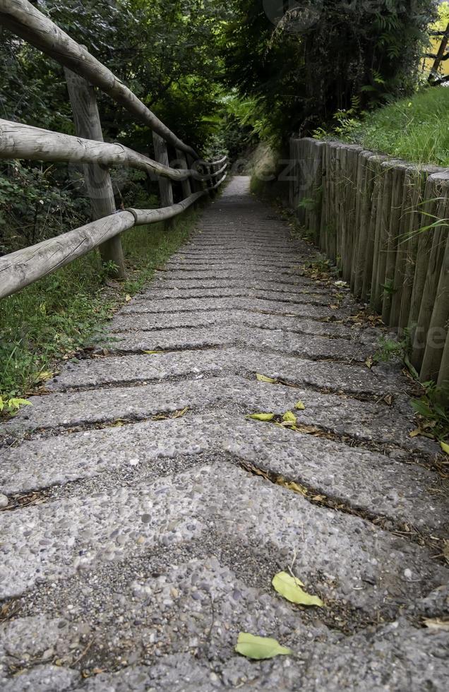 escaliers sur un chemin dans la forêt photo