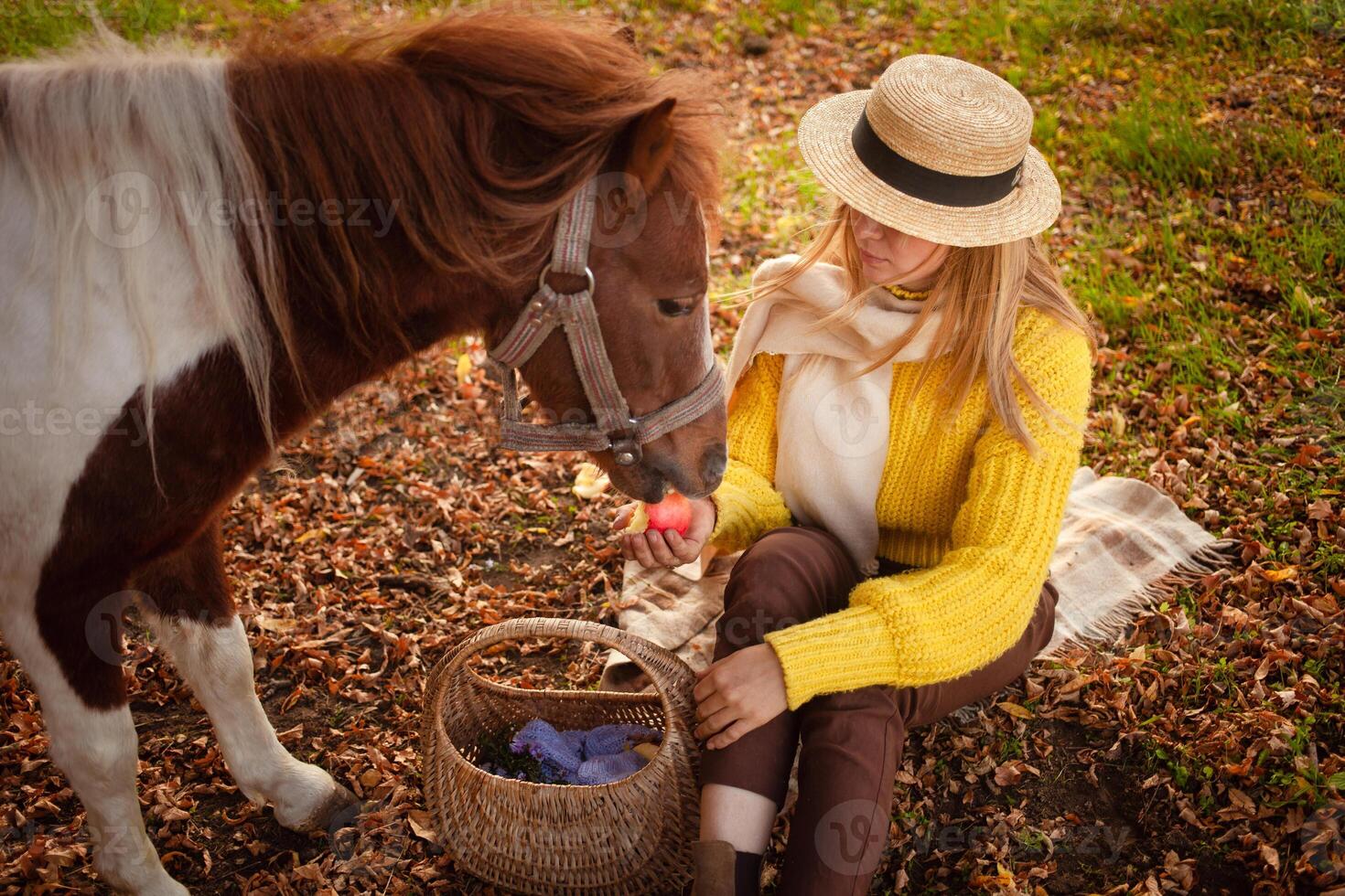 magnifique portrait, femme et poney, Pointé cheval, dans l'automne forêt, agréable couleurs, Contexte. concept de aimer, tendresse, amitié. mange un Pomme. photo