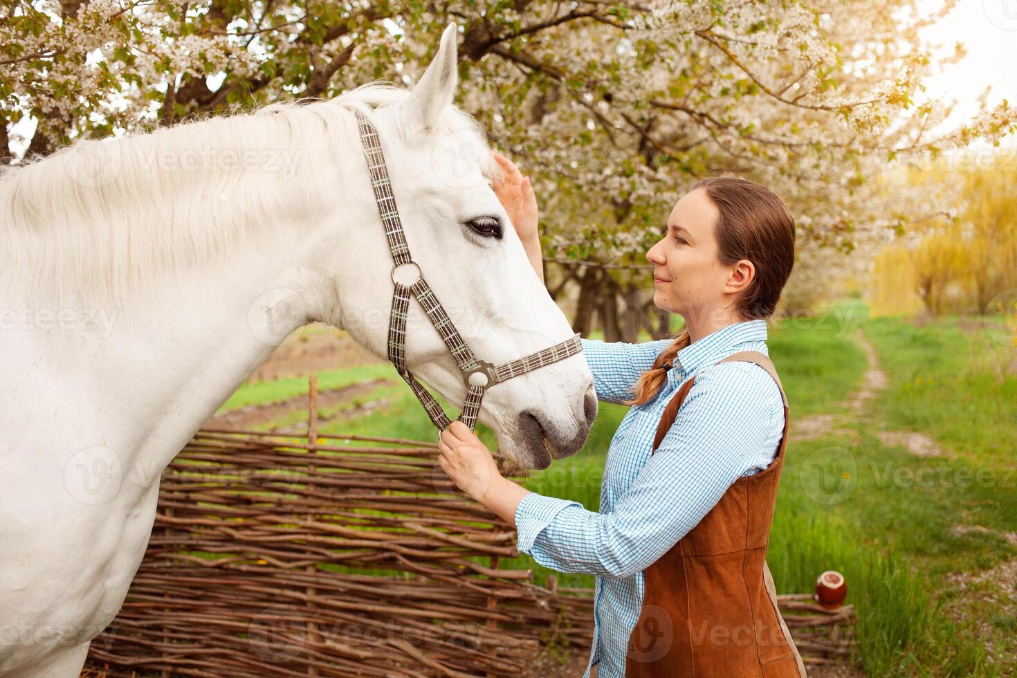 aimer, se soucier pour animaux. nature, printemps photo