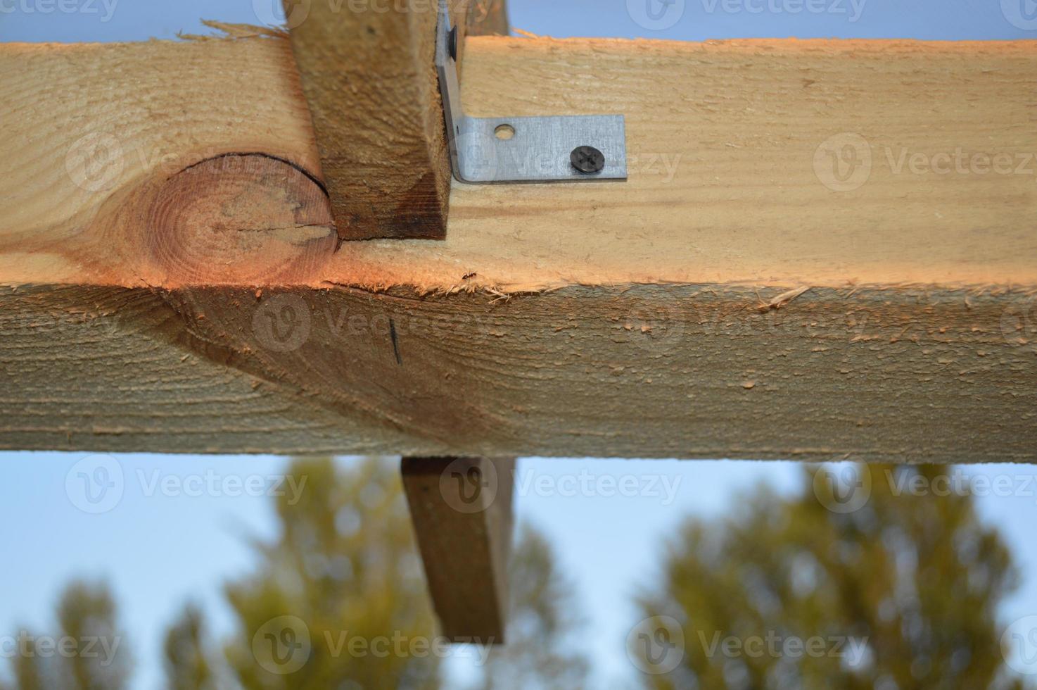 construction de nœuds et de dessins à partir d'un arbre, fixation d'un cadre photo