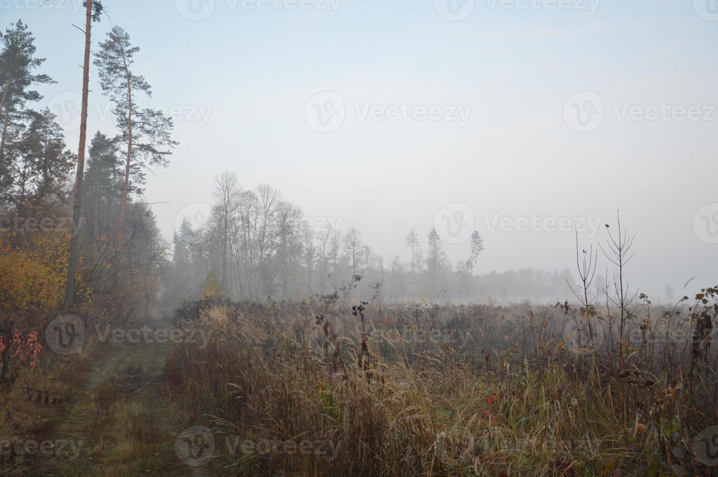 brouillard et brume matinale dans la forêt et le village photo