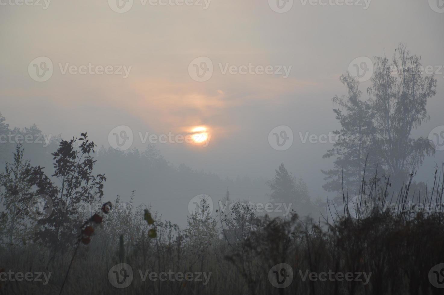 le soleil du matin se lève à l'horizon dans la forêt et le village photo