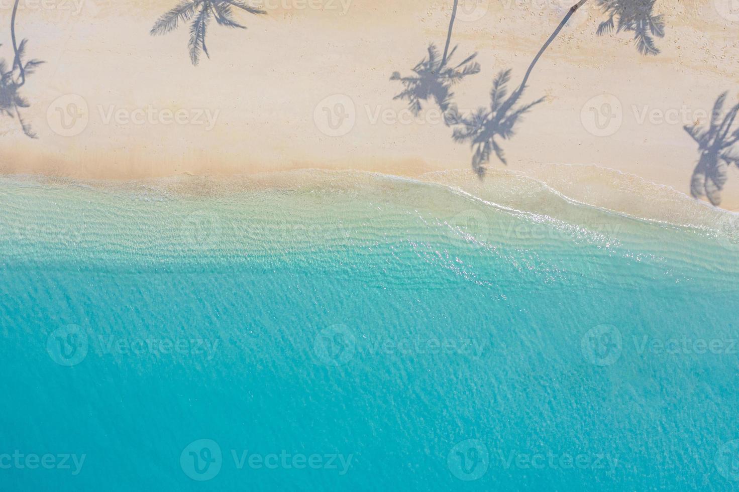 paysage paradisiaque aérien. paysage aérien tropical, paysage marin avec des feuilles de palmier ombres mer incroyable et plage de lagon, nature tropicale. bannière de destination touristique exotique, vacances d'été photo