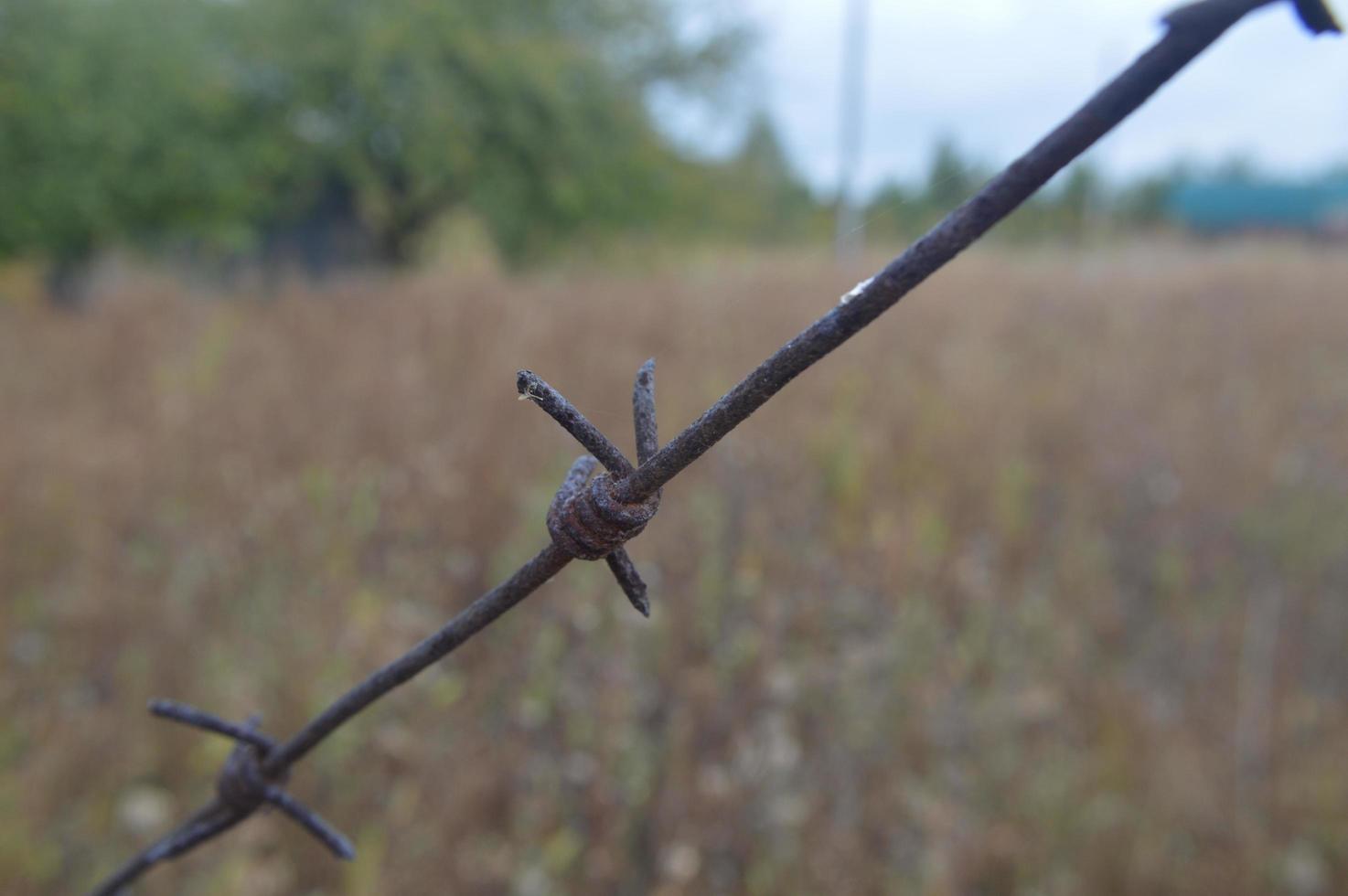 fil de fer barbelé tendu sur une clôture pour la sécurité photo