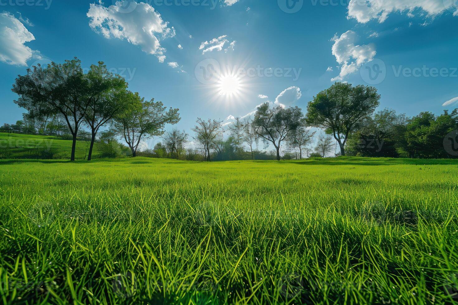 ai généré charmant herbe avec des arbres et Soleil photo