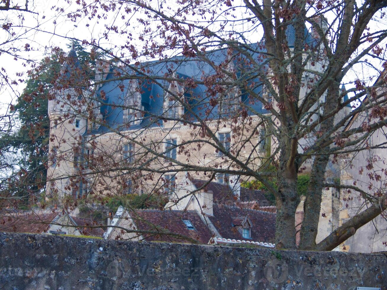 une arbre avec non feuilles photo