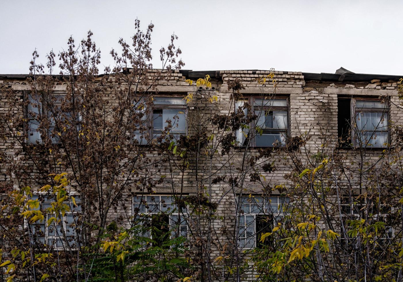 Pripyat, ukraine, 2021 - bâtiment abandonné parmi les arbres à Tchernobyl photo