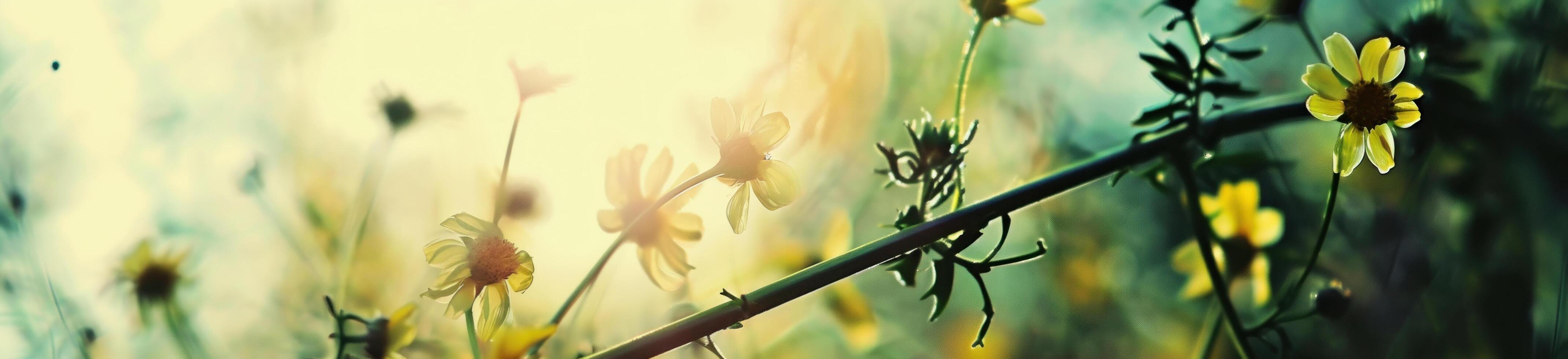 ai généré dans printemps Contexte champ de fleurs photo