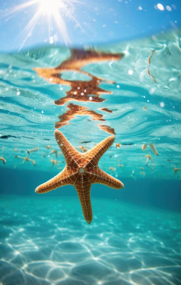 ai généré étoile de mer sur le océan dans fond d'écran, photo