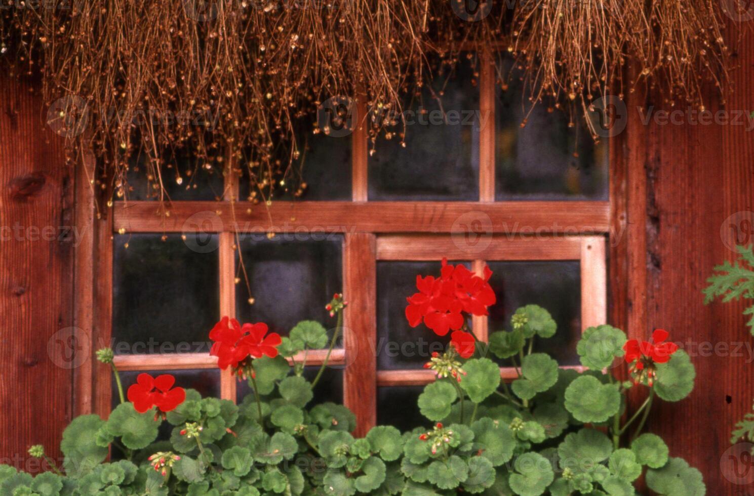 une fenêtre avec une plante dans il photo