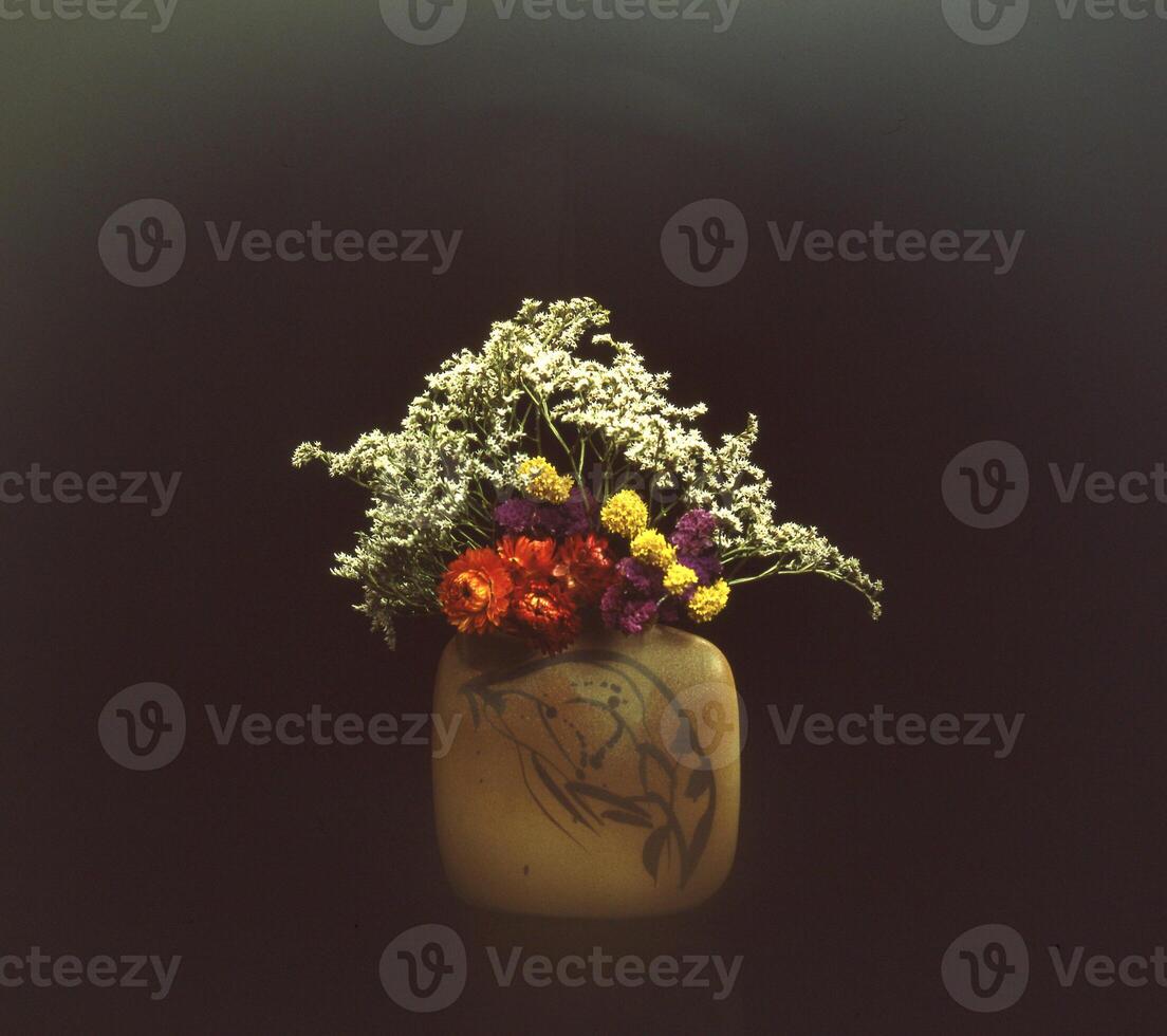 une vase avec fleurs dans il photo