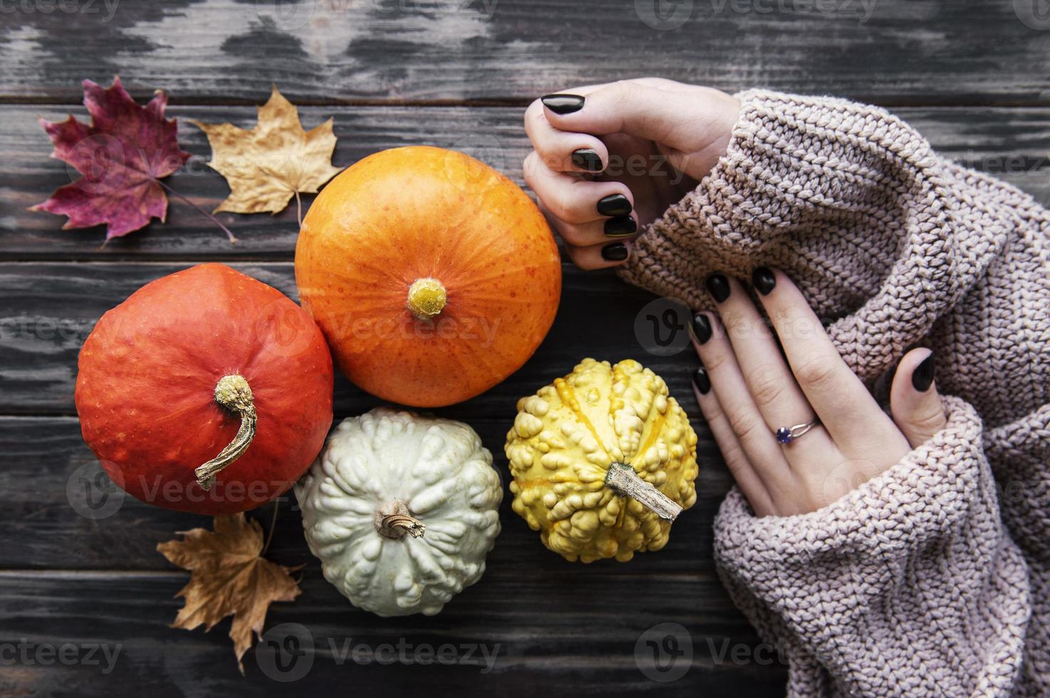 mains féminines tenant des citrouilles d'automne photo