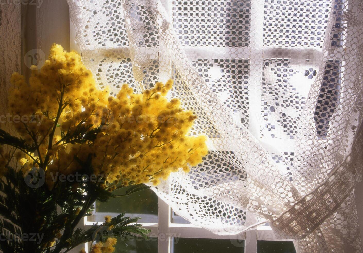 une vase de Jaune fleurs photo