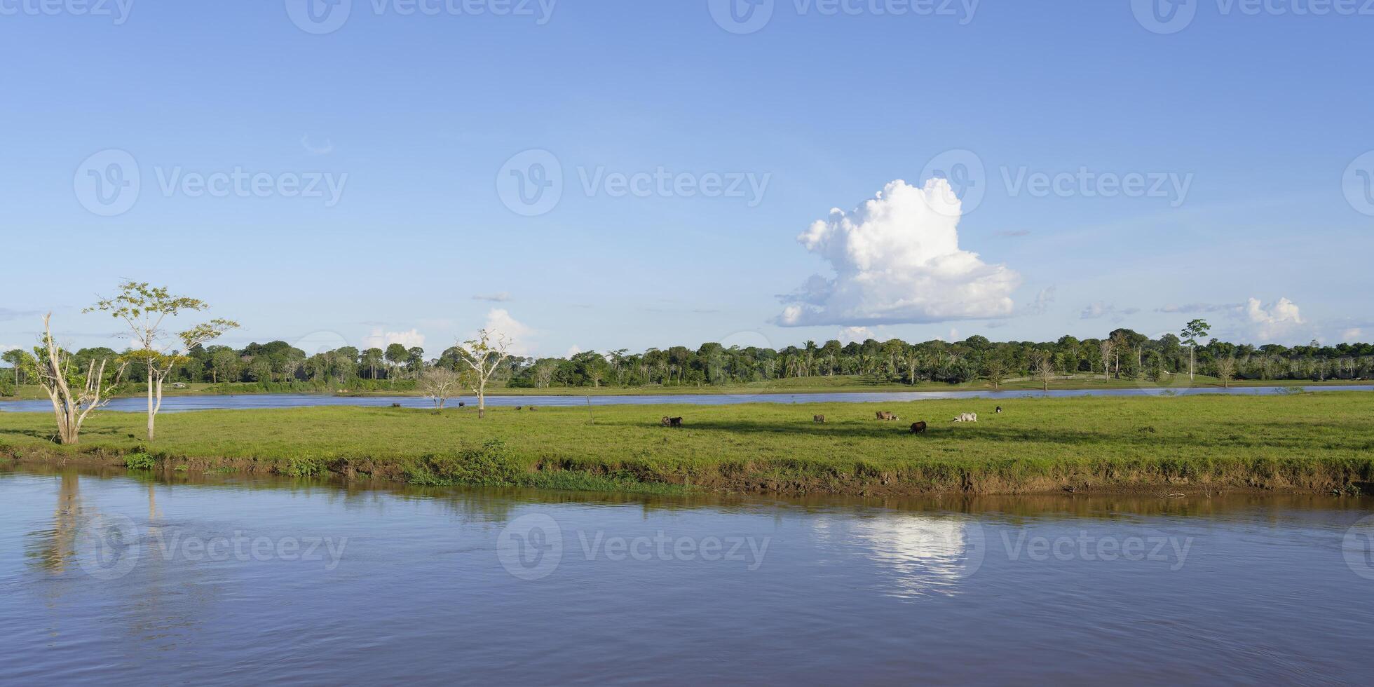 Madère rivière, un amazone affluent, amazonas État, Brésil photo