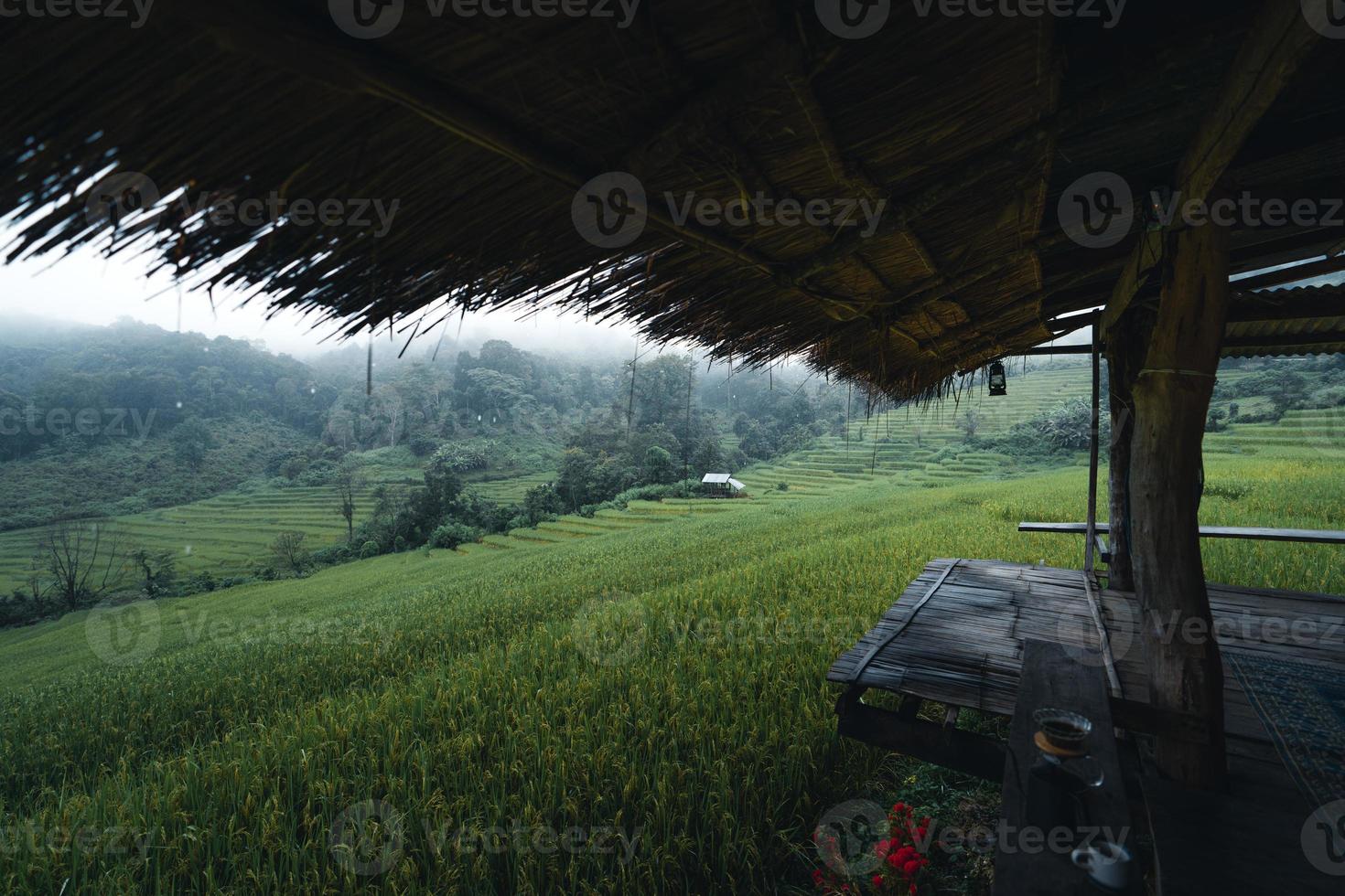 dans une cabane en bois dans une rizière verte photo