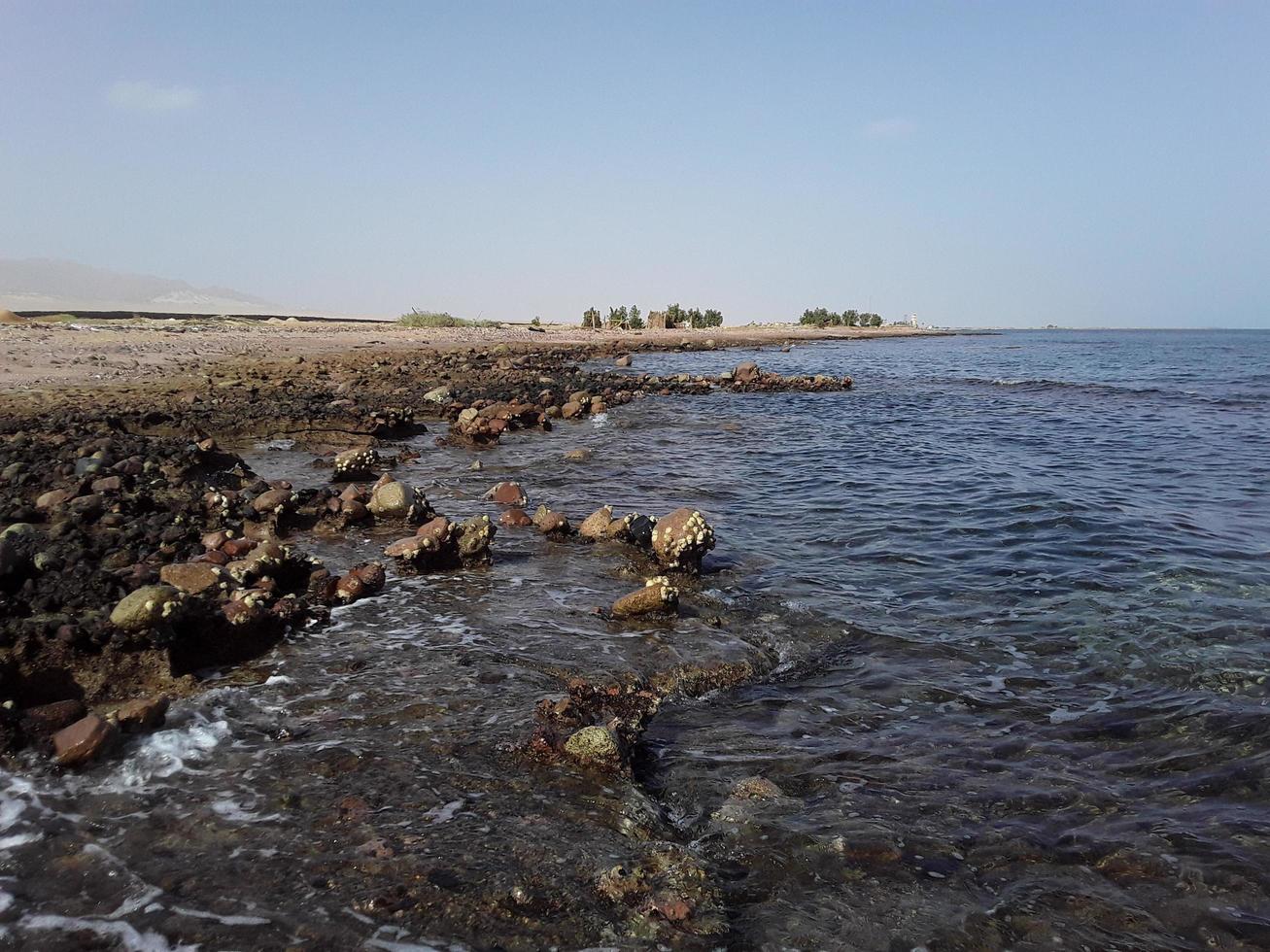 Mer rouge dans la station balnéaire égyptienne de Charm el-Cheikh photo