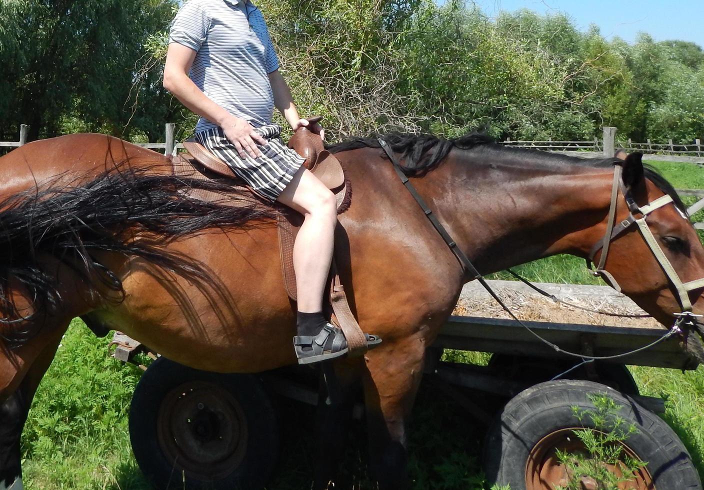 homme posant dans diverses poses pour la caméra photo