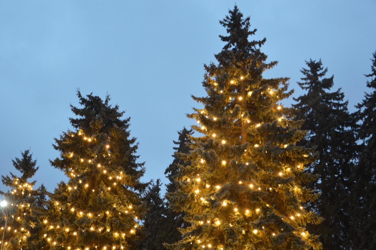 l'arbre de noël du soir et de la nuit brille de lumières dans la ville en hiver floue photo