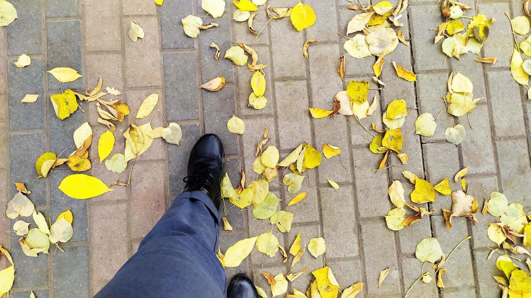 feuilles d'érable tombées sous les pieds. les pieds marchent le long du trottoir avec des feuilles jaunes. photo