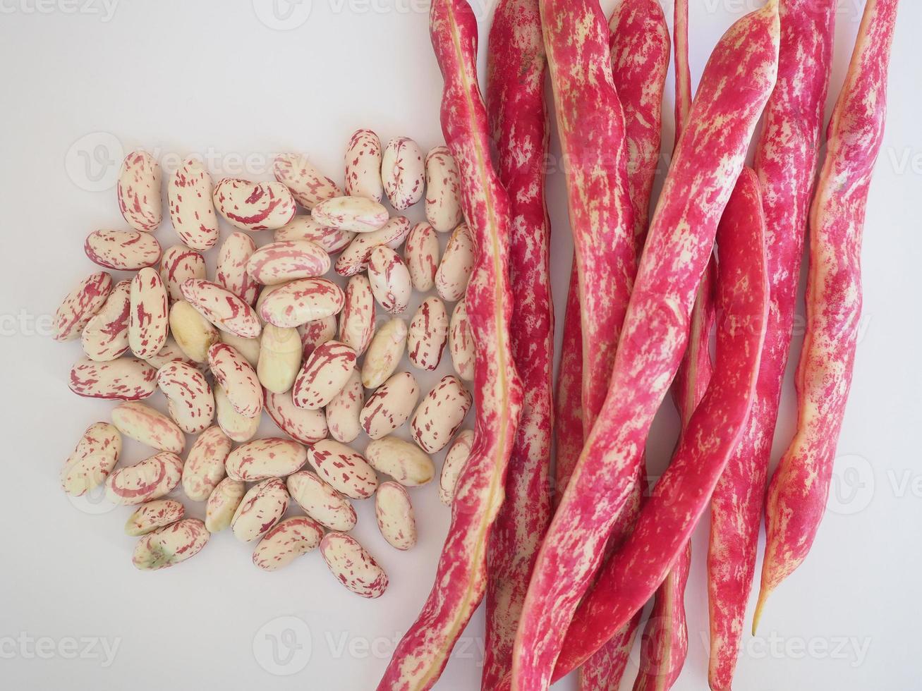 haricots cramoisis légumineuses légumes nourriture photo