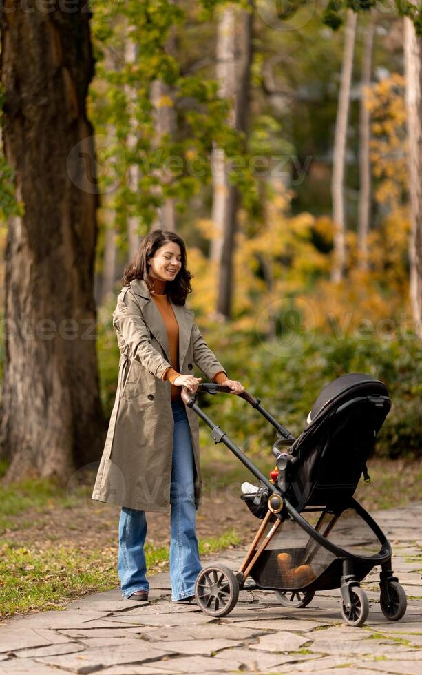 Jeune femme avec mignonne bébé fille dans bébé poussette à le l'automne parc photo