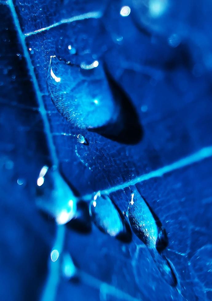 fond naturel gros plan image. belles gouttes d'eau de pluie transparente sur une macro de feuille colorée. photo