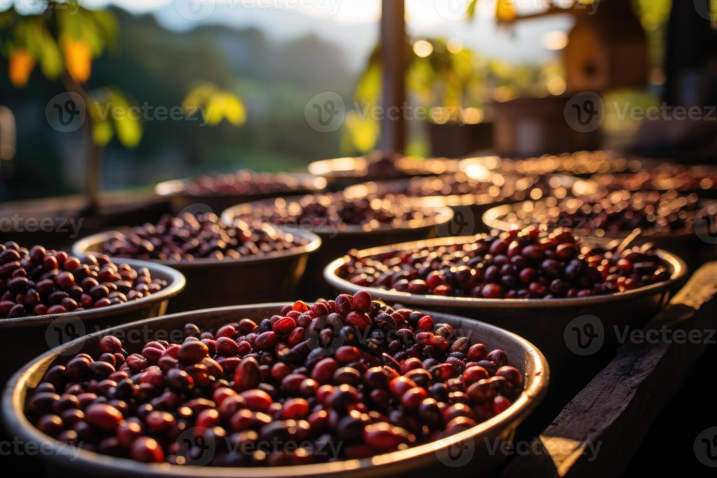 ai généré le collecté Frais café mensonges dans grand assiettes en dessous de le des rayons de le Soleil photo