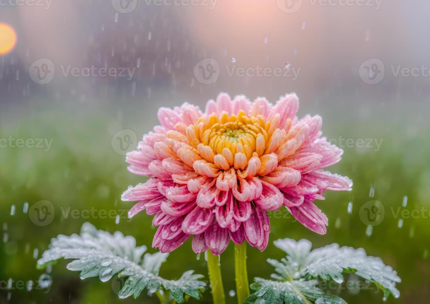 ai généré rose et Jaune dahlia entouré par vibrant fleurs dans une jardin photo