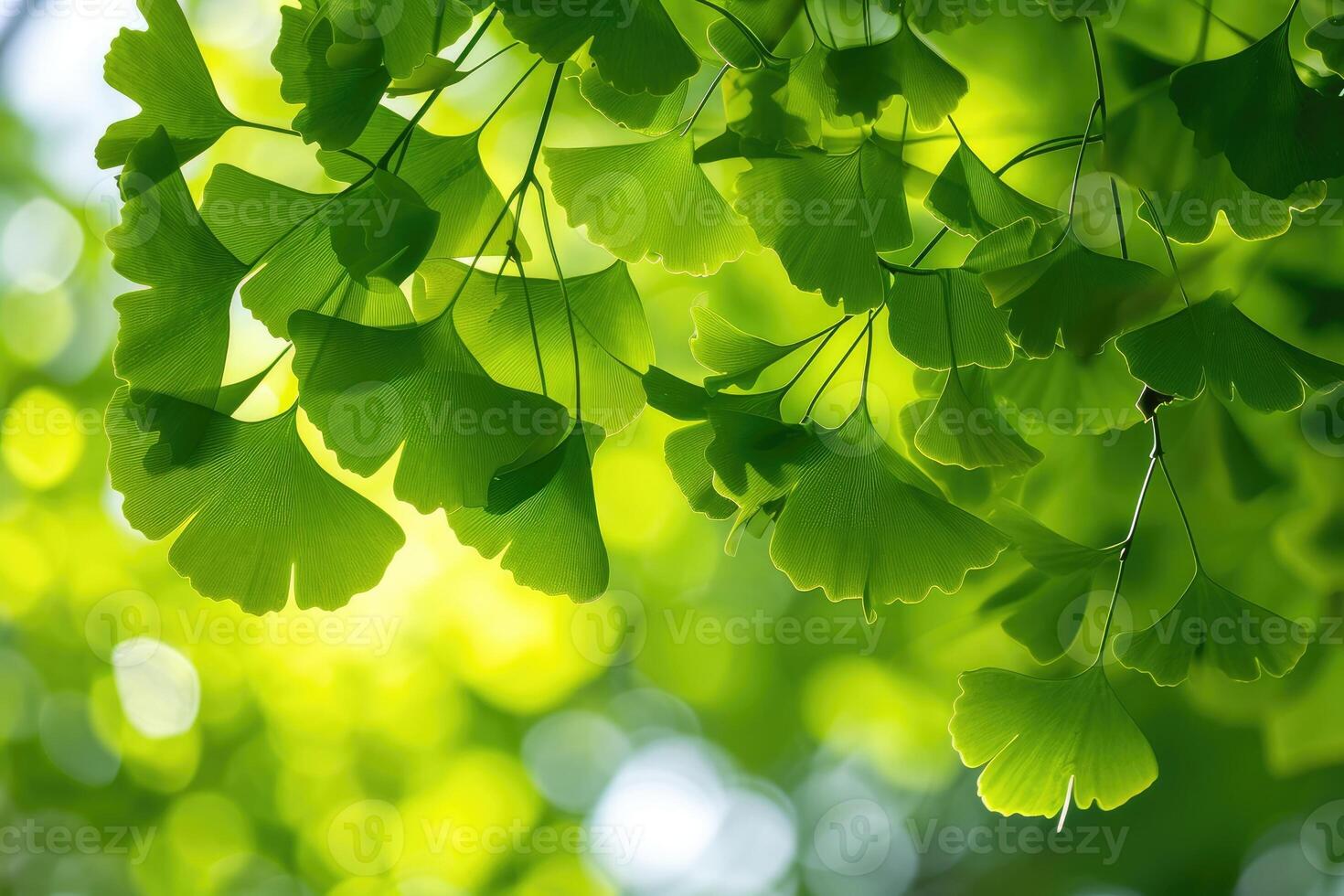 ai généré ginkgo feuilles. Naturel feuille texture Contexte. branches de une ginkgo arbre photo