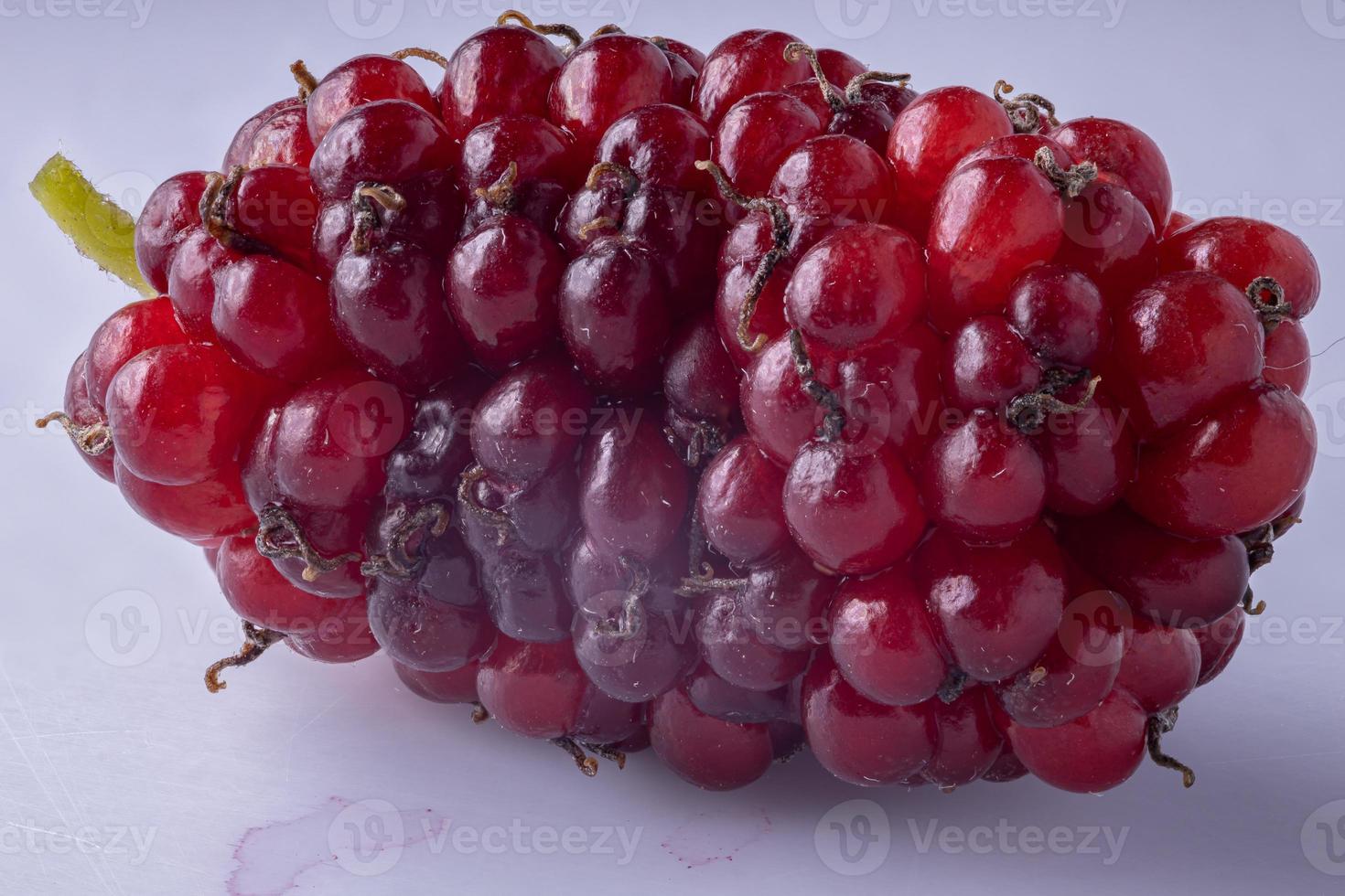 fruit du mûrier en vue macro photo