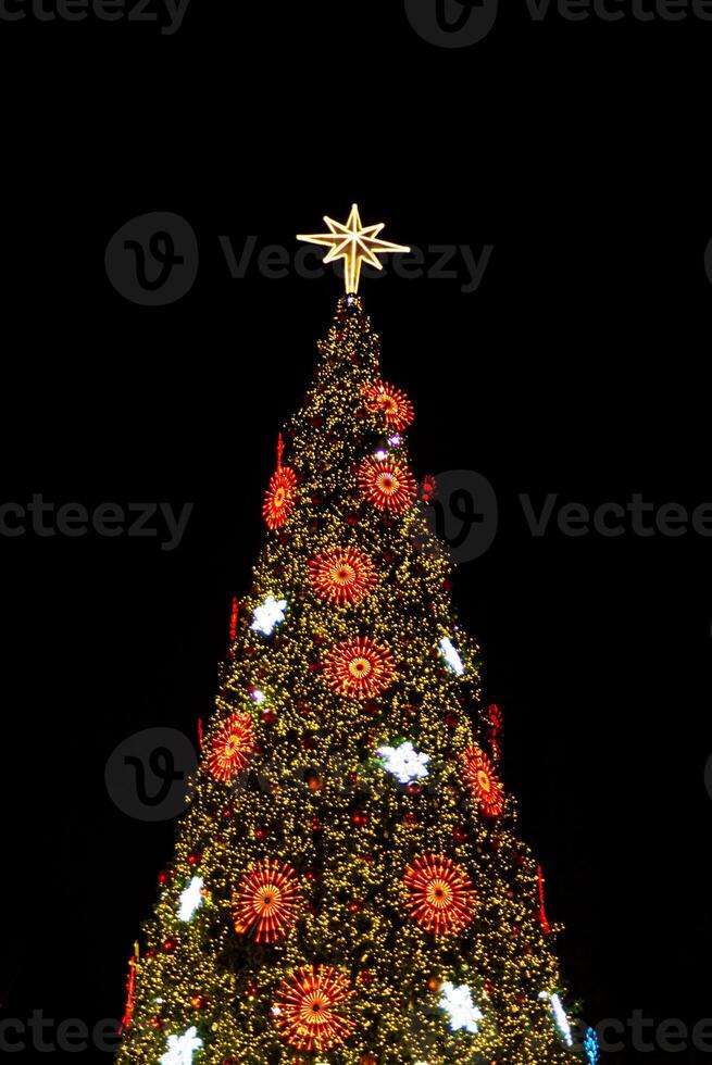 brouiller bokeh Noël arbre avec nuit ciel Contexte et bâtiment photo
